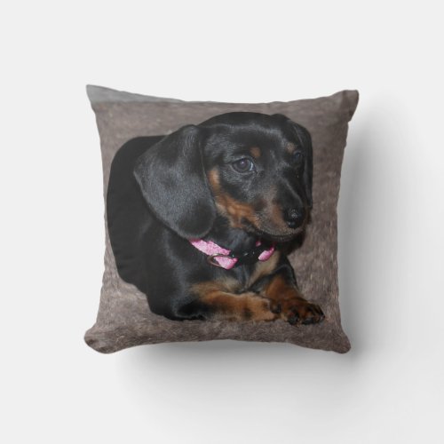 Minature Black Dachshund Puppy __ Adorable   Doxi Throw Pillow