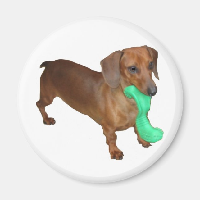 Minature Dachshund Magnet (Front)