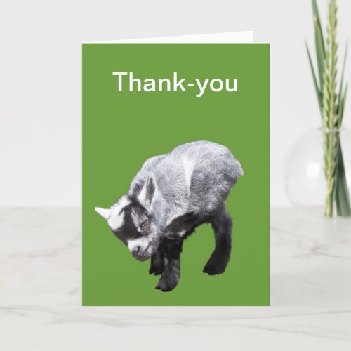 Minature Goat Scratching Thank_you Card