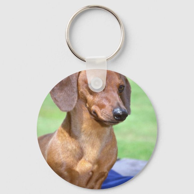 Minature Smooth Dachshund Keychain (Front)