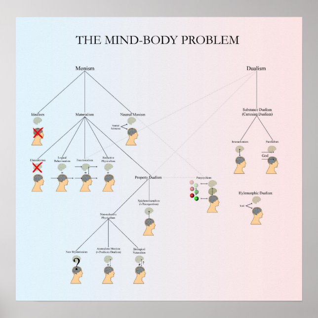 Mind-Body Problem Poster (Front)