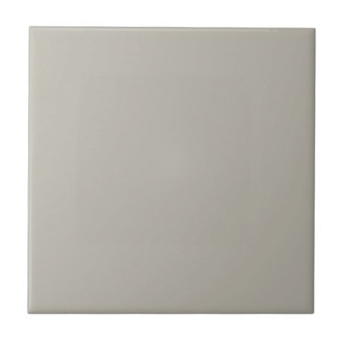 Mindfully Gray Square Kitchen and Bathroom Ceramic Tile