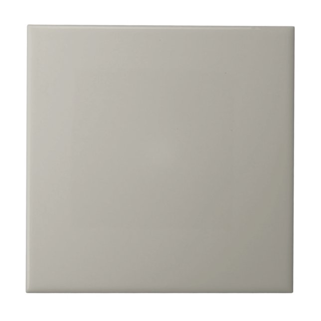 Mindfully Gray Square Kitchen and Bathroom Ceramic Tile (Front)