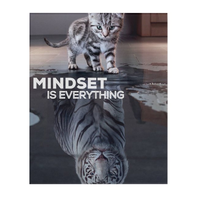 mindset is everything poster acrylic print (Front)
