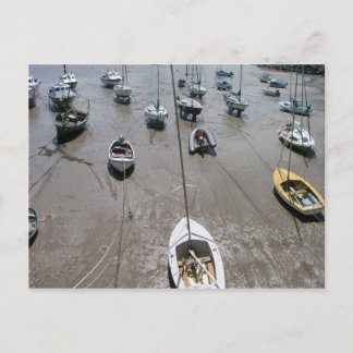 Minehead harbour, Somerset, UK Postcard