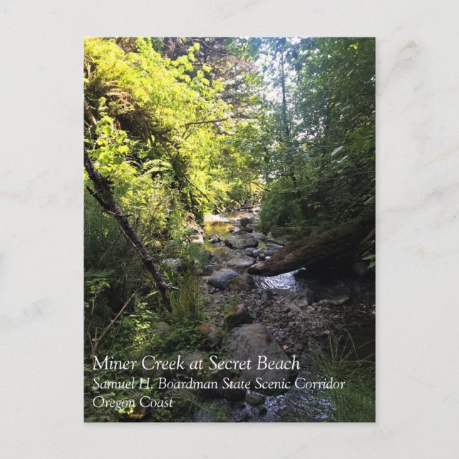 Miner Creek, Samuel H. Boardman, OR Postcard (Front)