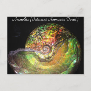 Minerals & Gems # 127 Postcard