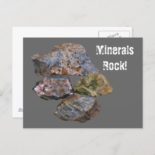 Minerals Rock Collectors Funny  Postcard