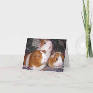 Minerva and Friends Notecard