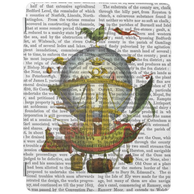 Minerve Hot Air Balloon iPad Air Cover (Front)