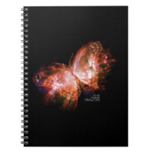 MING REALITIES BOOK ONE: MING BUTTERFLY NOTEBOOK