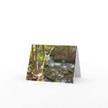 Mingus Creek at Smoky Mountains Card