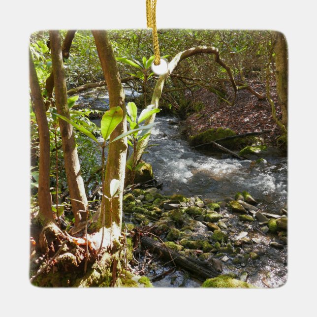 Mingus Creek at Smoky Mountains Ceramic Ornament (Front)
