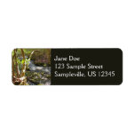 Mingus Creek at Smoky Mountains Label