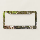 Mingus Creek at Smoky Mountains License Plate Frame