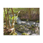 Mingus Creek at Smoky Mountains Postcard