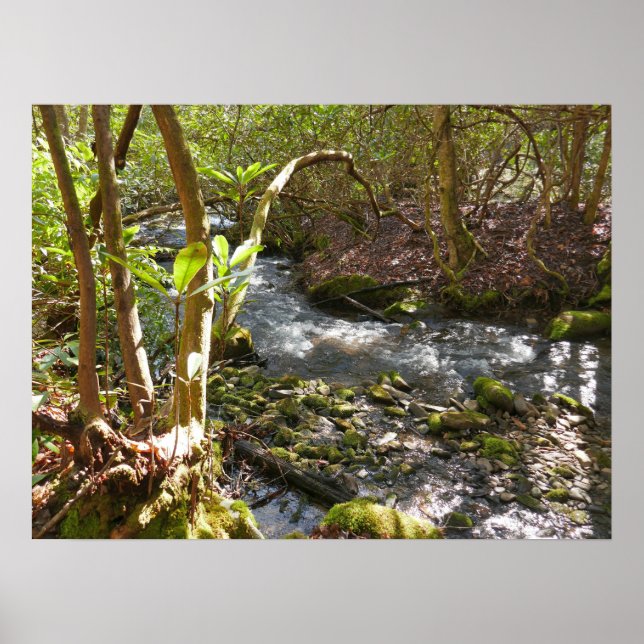 Mingus Creek at Smoky Mountains Poster (Front)