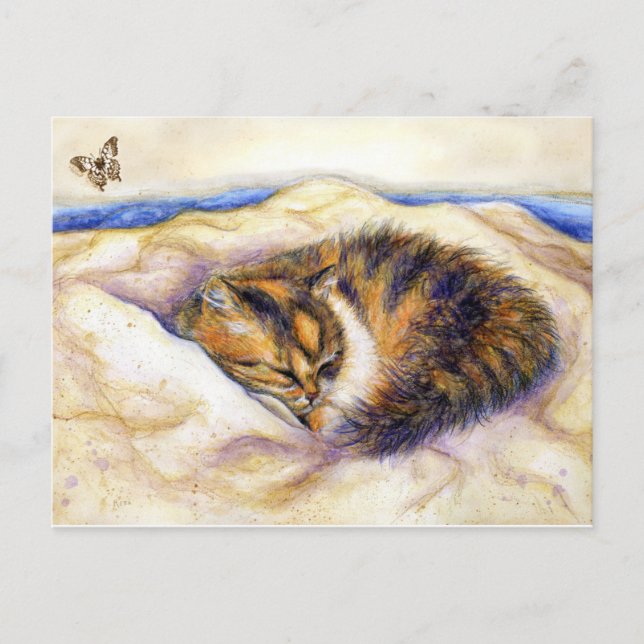 Mini Art Calico Cat Sleeping Postcard (Front)