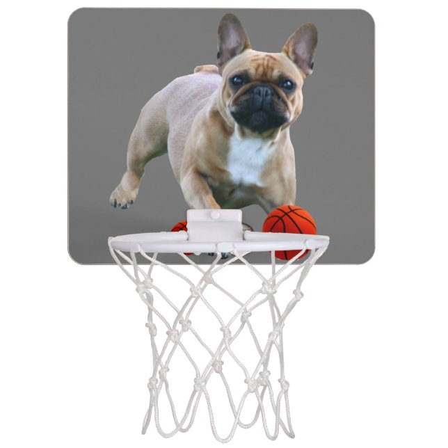 Mini Basketball Hoop French Bulldog (Front)