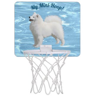 Mini Basketball Hoop; Matching Mini Ball Separate Mini Basketball Hoop