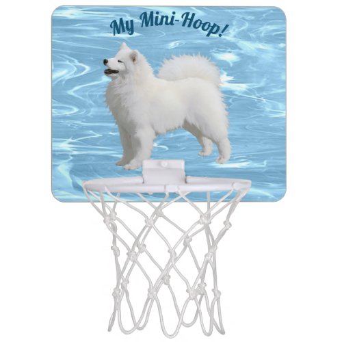 Mini Basketball Hoop Matching Mini Ball Separate Mini Basketball Hoop