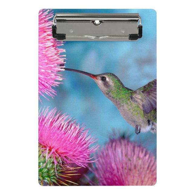 Mini Clipboard/Hummingbird Clipboard (Front)