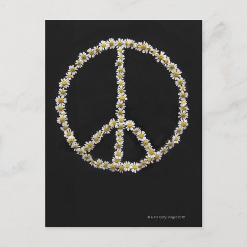 Mini Daisies In a Peace Symbol Postcard