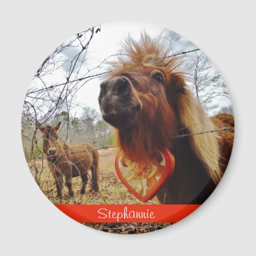 mini donkey and horse Valentine Heart red Magnet