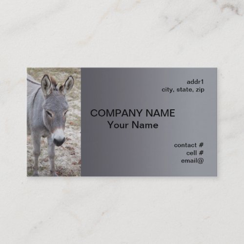 mini donkey business card