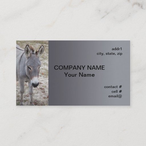 Customizable mini donkey business card