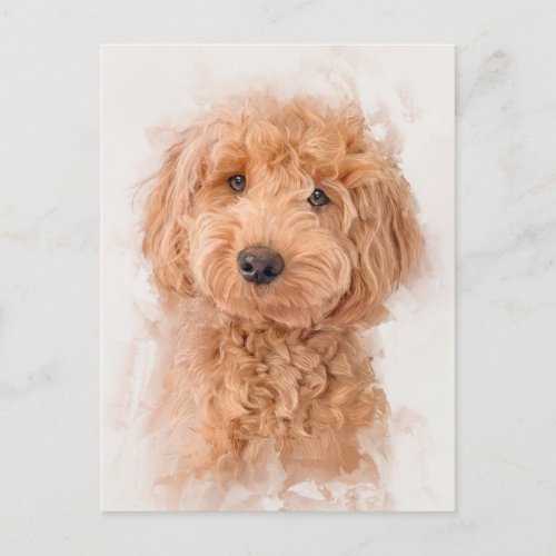 Mini Goldendoodle Dog Portrait Postcard