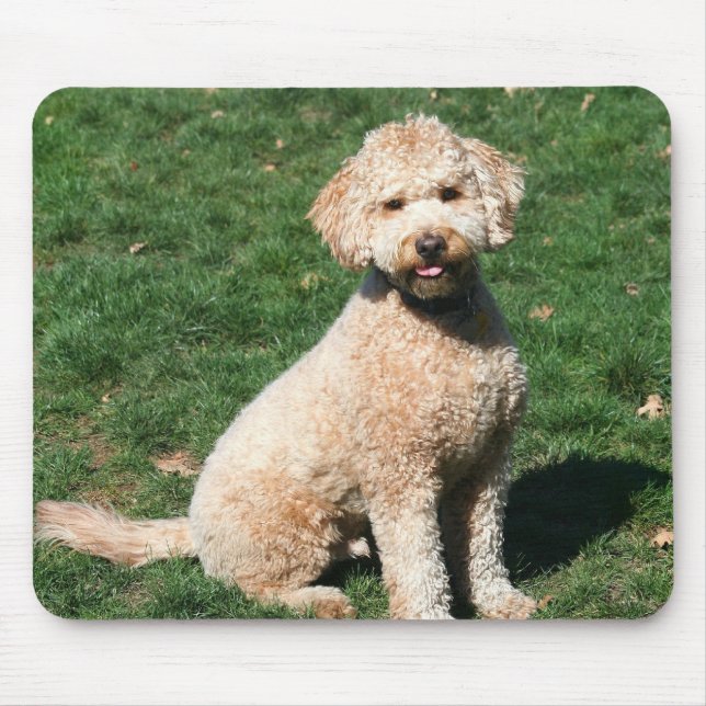 Mini Goldendoodle puppy mousepad (Front)