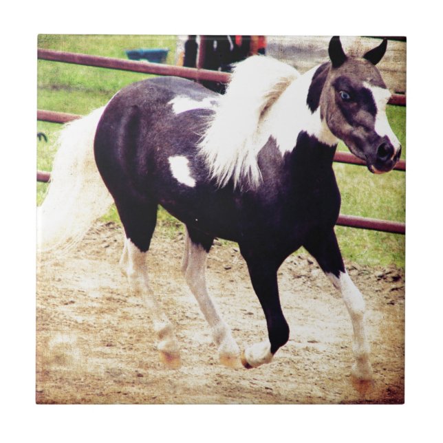 Mini Horse at Liberty Tile (Front)