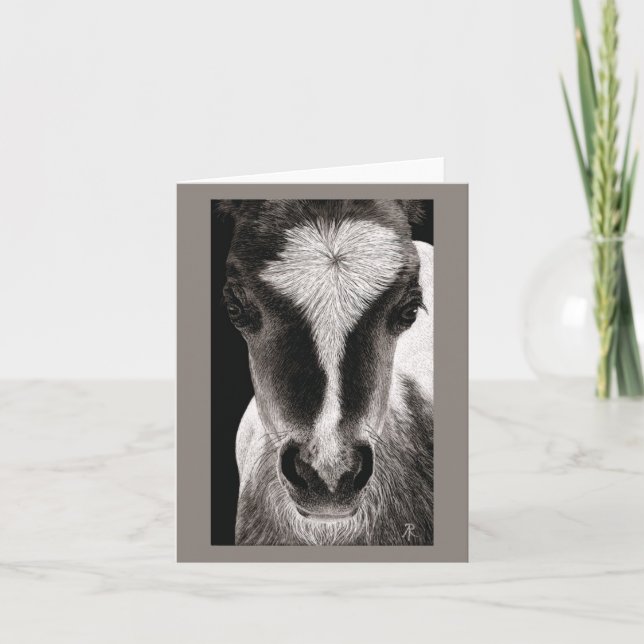 Mini Horse Colt - "Baby Face" Card (Front)