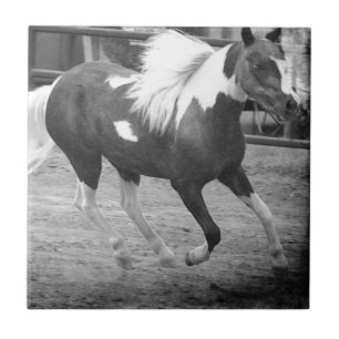 Mini Horse Gallops Ceramic Tile