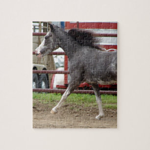 Mini Horse in Liberty Class Jigsaw Puzzle