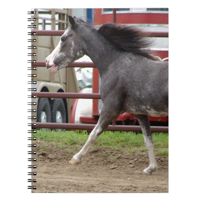 Mini horse in liberty class notebook (Front)