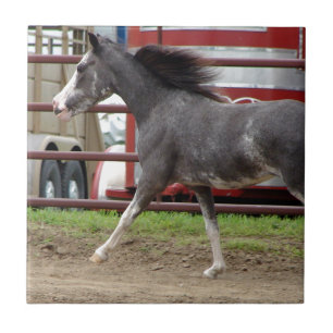Mini Horse in Liberty Class Tile