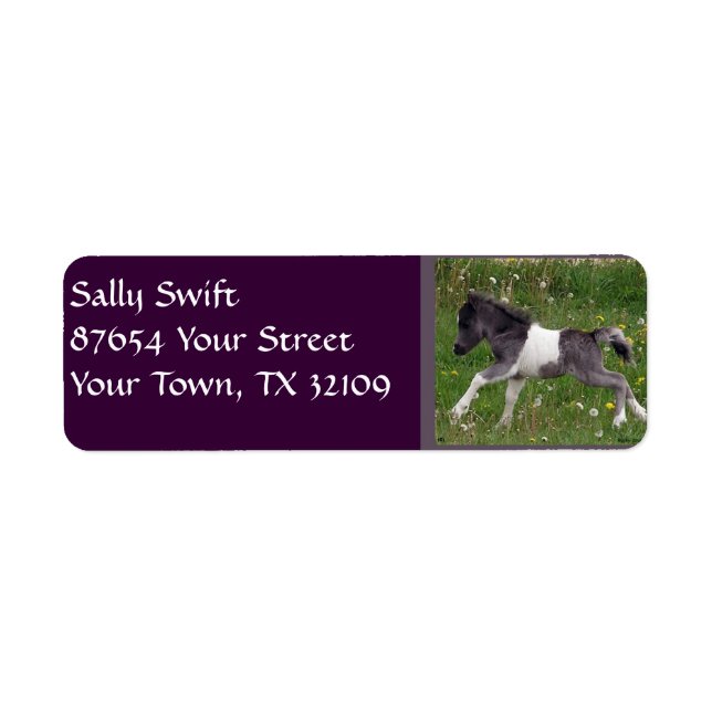 Mini Horse Label (Front)