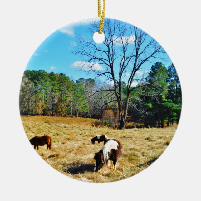 Mini Horses Ceramic Ornament (Front)