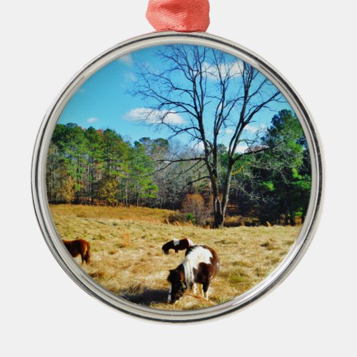 Mini Horses Metal Ornament