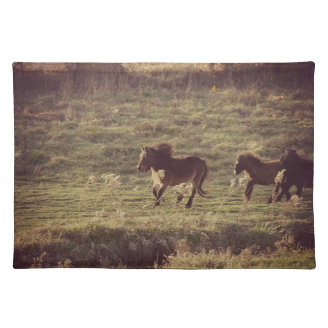 Mini Horses Placemat (Front)