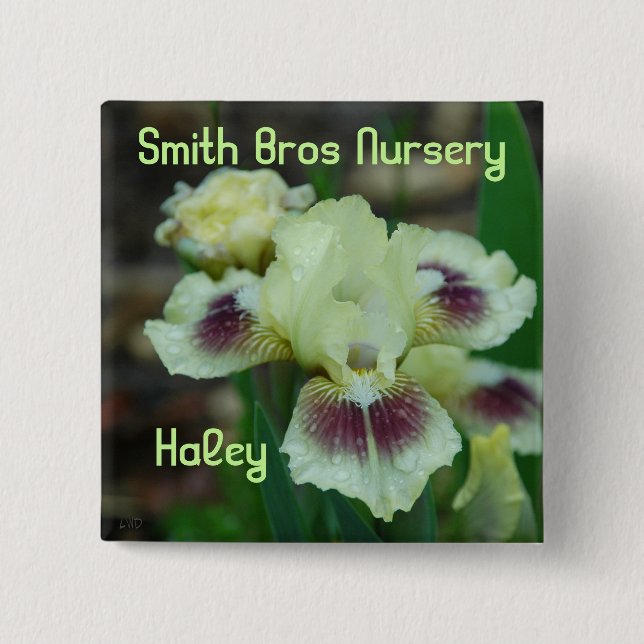 Mini Iris Button-Badge Pinback Button (Front)