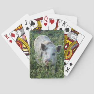 Mini Juliana Pet Pig Poker Cards