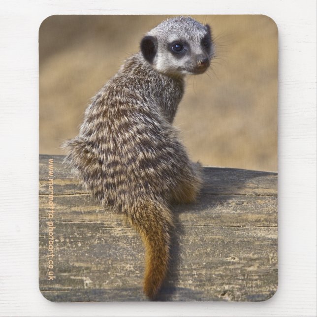 Mini Kat Mousemat Mouse Pad (Front)