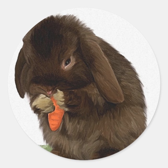 Mini Lop Bunny and carrot Classic Round Sticker (Front)