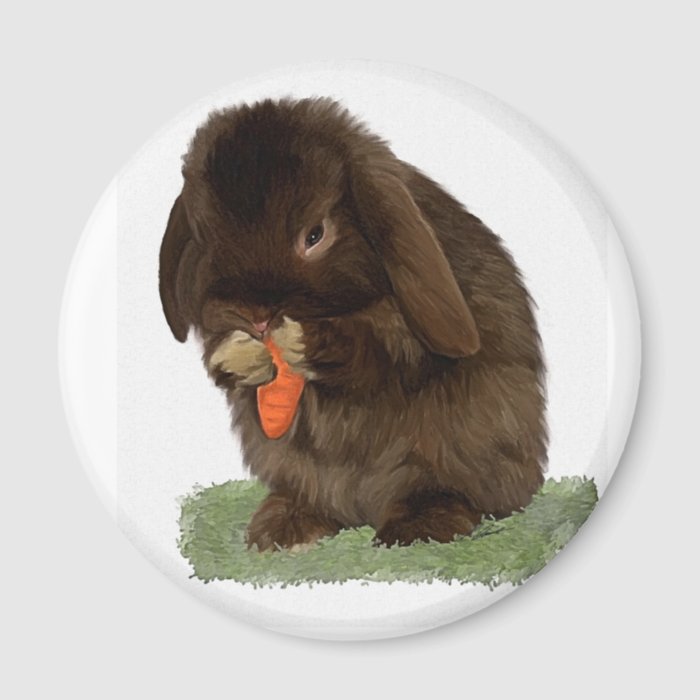 Mini Lop Bunny and carrot Refrigerator Magnets