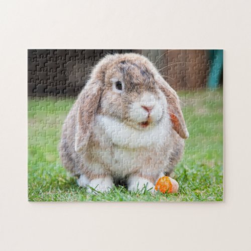 Mini Lop Bunny Rabbit Jigsaw Puzzle