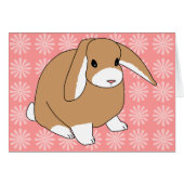 Mini Lop Rabbit (Front Horizontal)