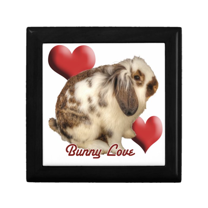 Mini Lop rabbit Jewelry Box